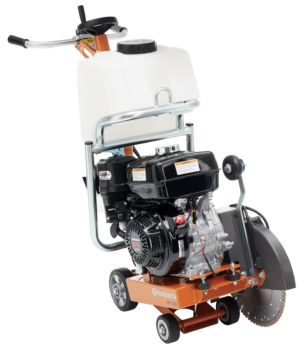 FS 309